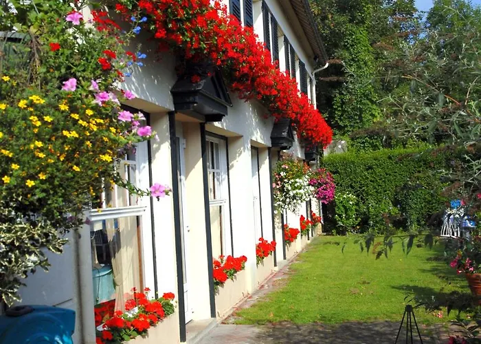 Hotel De Pavillon Saint-hubert 2*