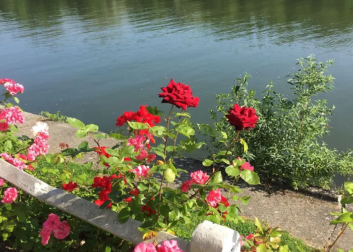 De Pavillon Saint-hubert 2* Gouvieux