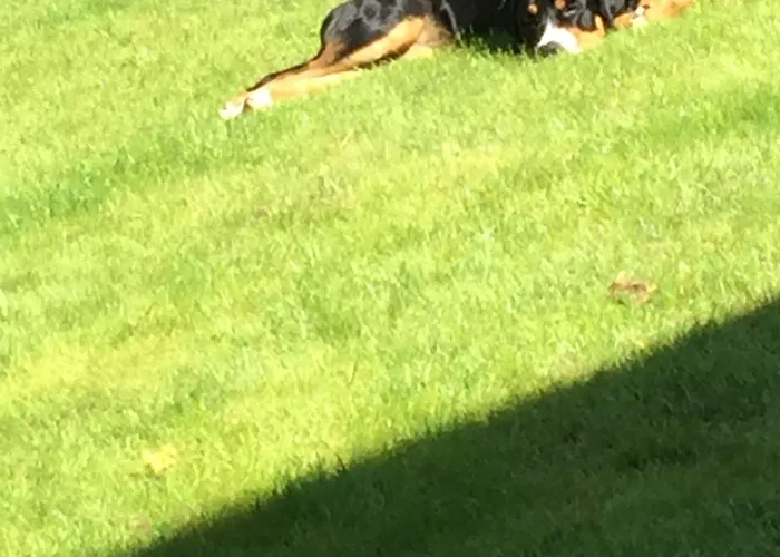 Hotel De Pavillon Saint-hubert